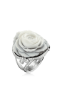 Bague La Rose de la Reine GJE24BB05.9001